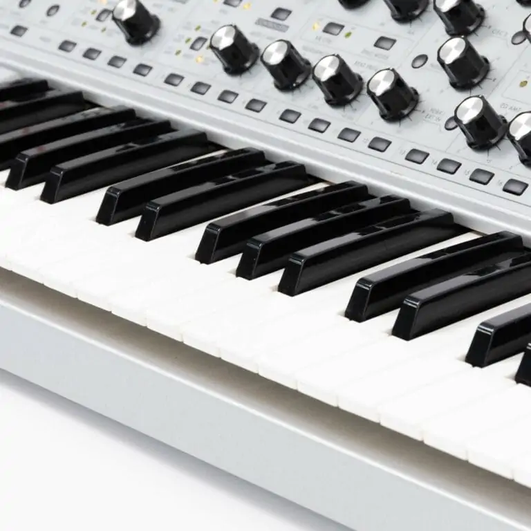 Moog-Subsequent-37-gebraucht-20