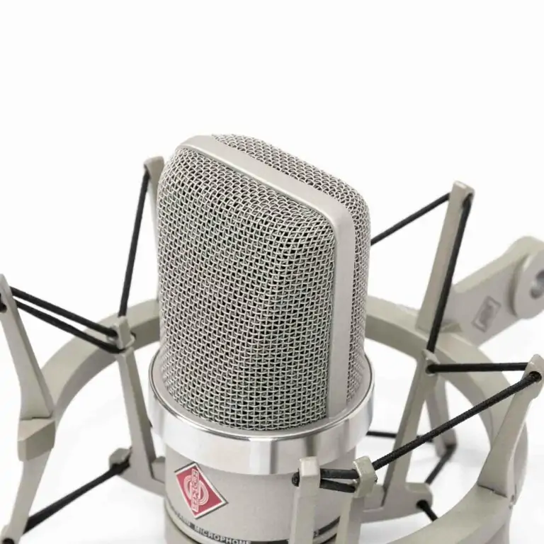 Neumann-TLM-102-ni-Studio-Set-4