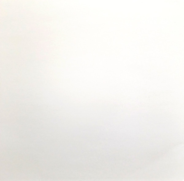 Zendid – Hiyoko-1 Zendid – Hiyoko-1