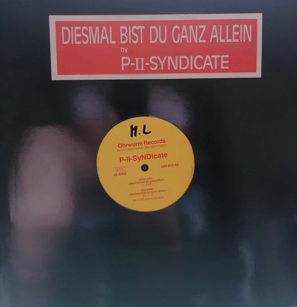 15529880 079967546447e6fa1f5496447e6fa1f54b16824337866447e6fa1f54d P II Syndicate - Diesmal Bist Du Ganz Allein-0