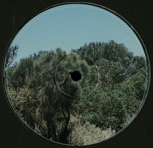 Rings Around Saturn (2) – Erosion-1 Rings Around Saturn (2) – Erosion-1