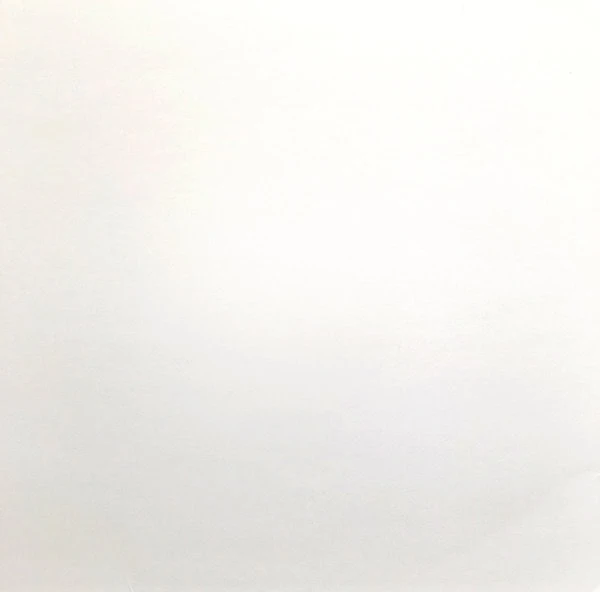 Zendid – Hiyoko-1 Zendid – Hiyoko-1