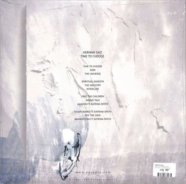 Herman Saiz – Time To Choose-1 Herman Saiz – Time To Choose-1