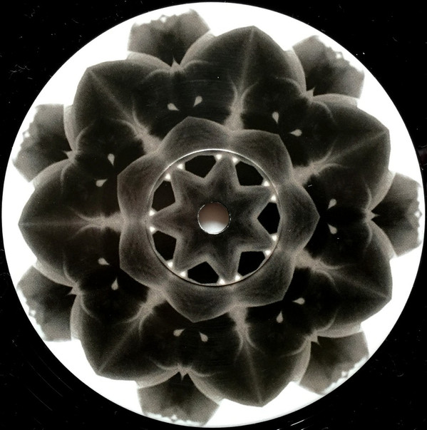 02-1 02-1