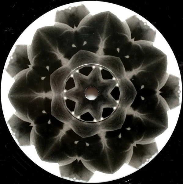 02-1 02-1